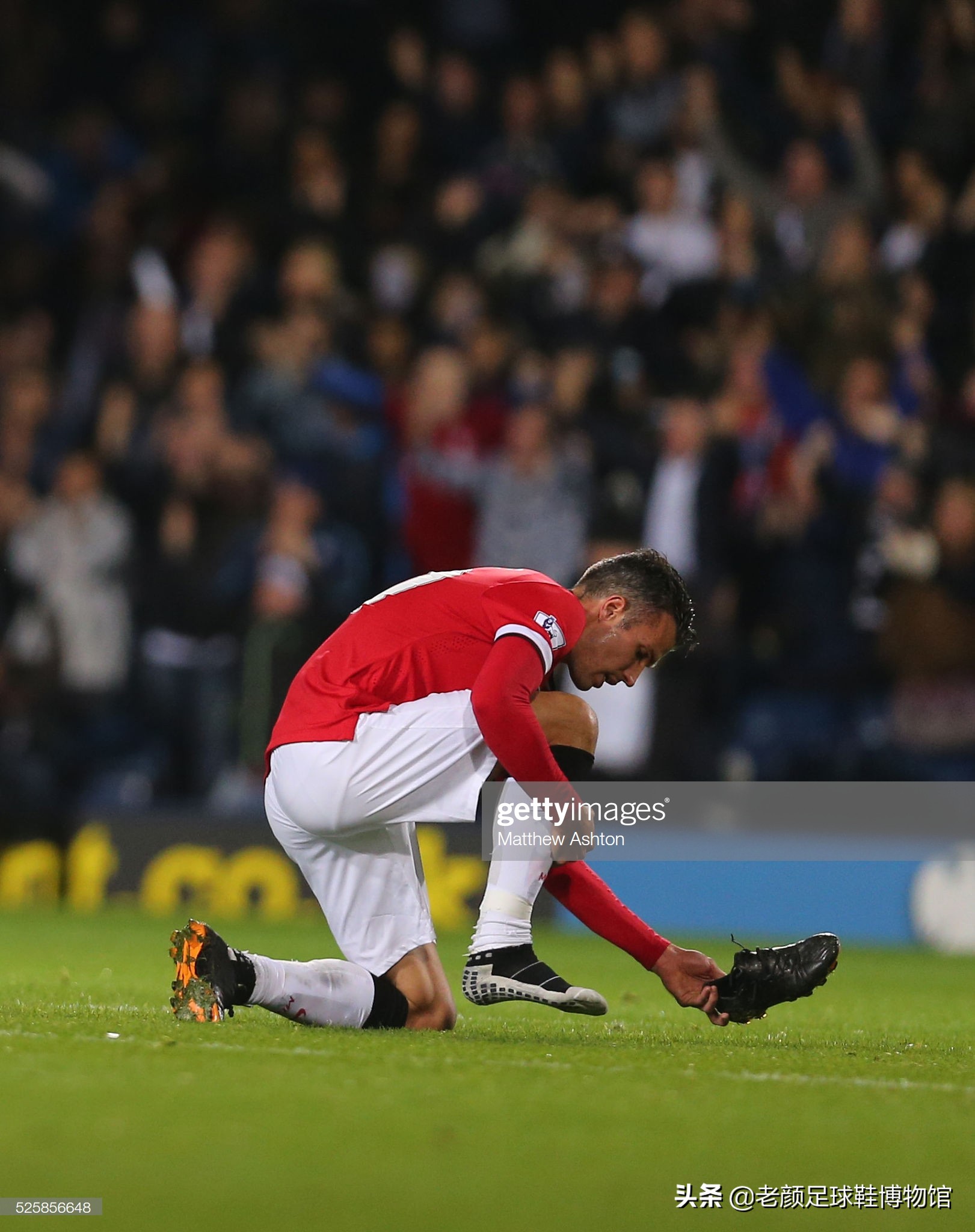 贝蒂斯近年 贝蒂斯近年