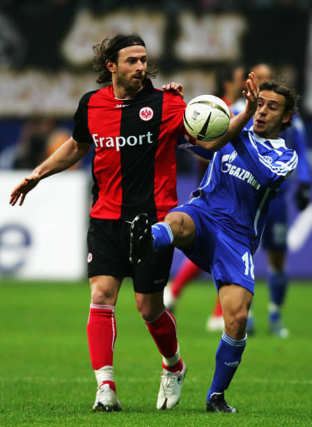 表现将直接 表现将直接