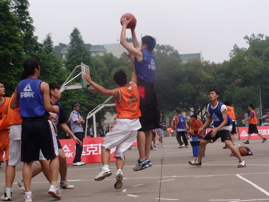 不得不寻求 不得不寻求